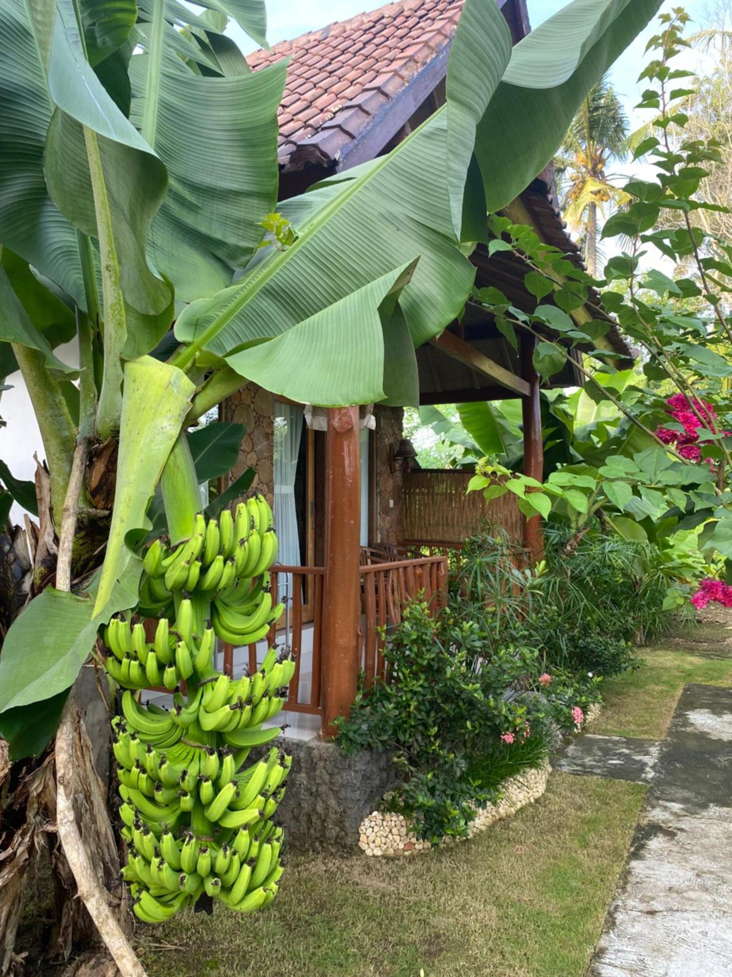 Grealeen Cottages Ped Dış mekan fotoğraf